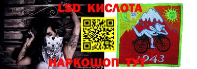 гашик Белореченск
