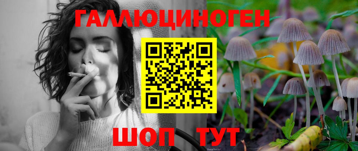 Галлюциногенные грибы мицелий Всеволожск
